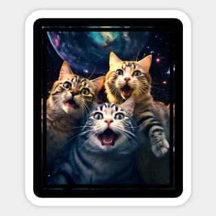 Funny Cat Moon Selfie Cute Kitten Sticker